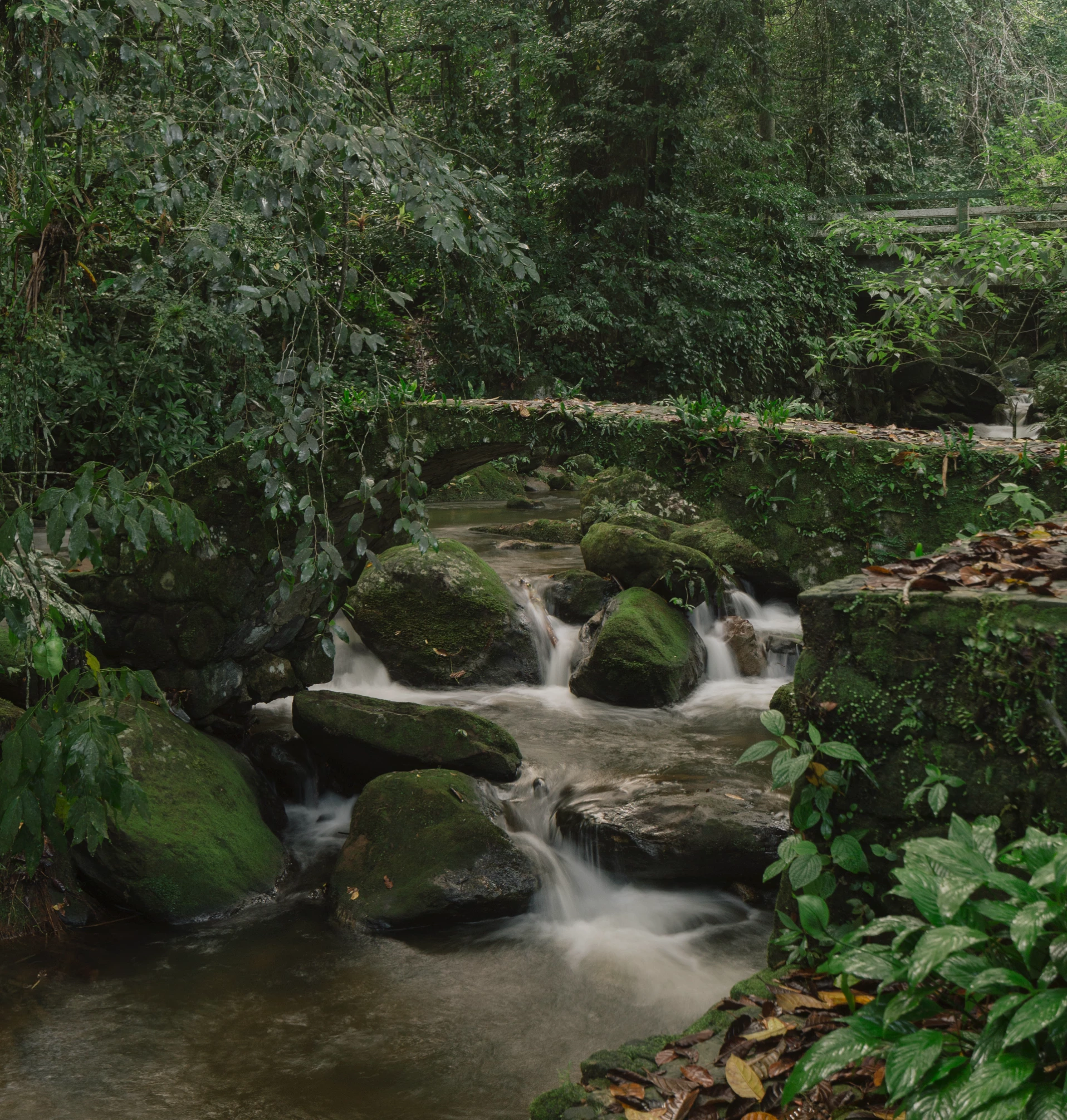 espaço mira natureza hospedagem pauba